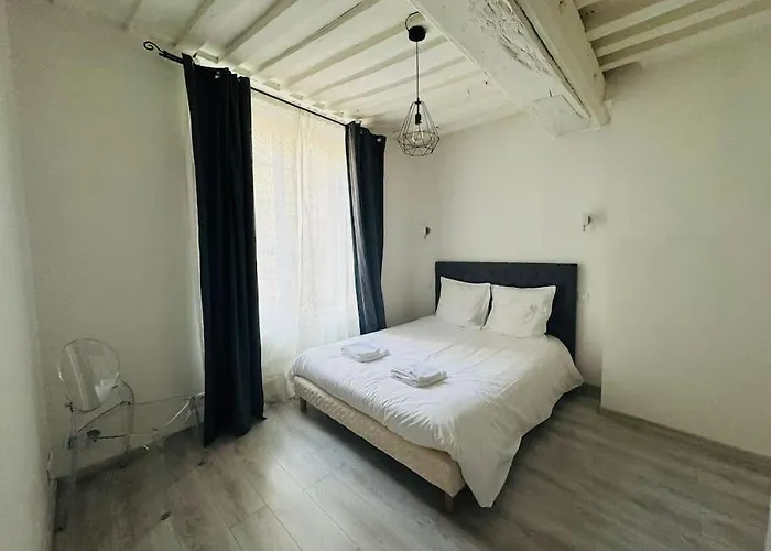 Apartman Spacieux De Charme En Hyper-centre *