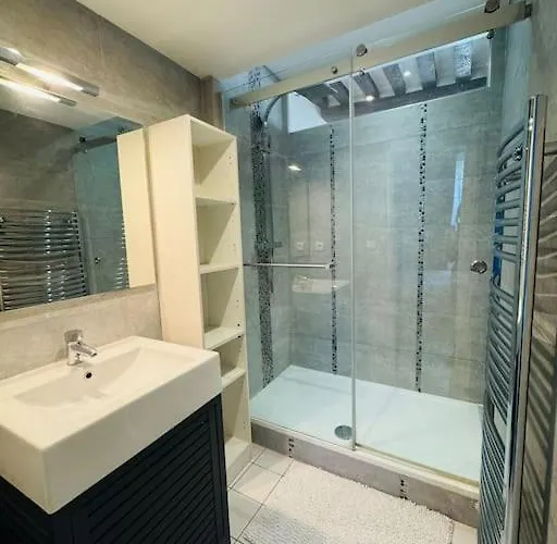 Apartman Spacieux De Charme En Hyper-centre